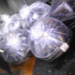 ビニールのうなぎ