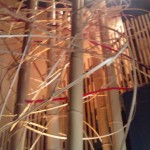 エントランス竹