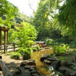 林試の森公園11 (2)