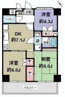 まどり