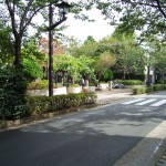 西小山緑公園