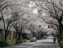 img_1170017_25622636_6