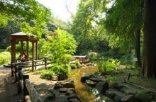 林試の森公園11 (2)