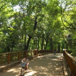 林試の森公園9 (2)