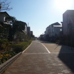 西小山緑道