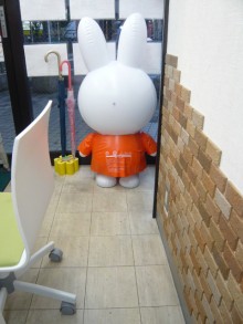 アルゾ改装前床