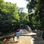 林試の森公園13 (2)