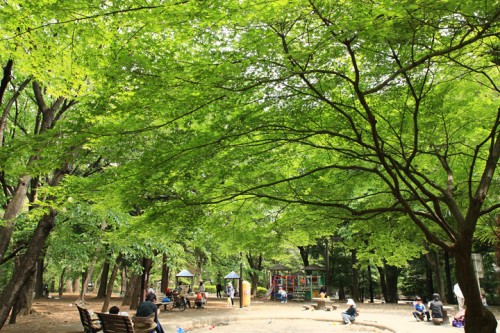 公園